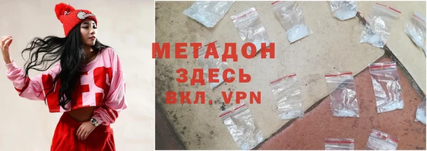 прущие грибы Аркадак