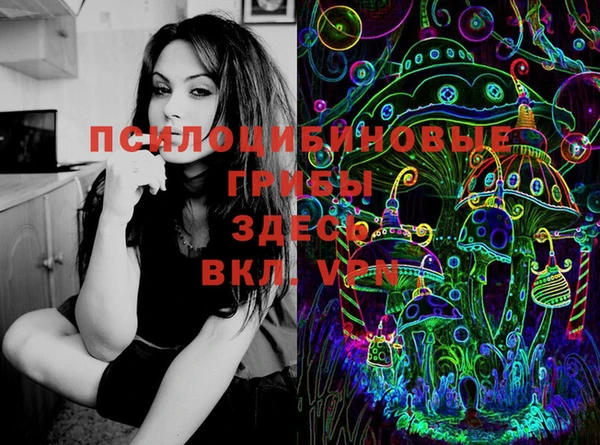 прущие грибы Аркадак