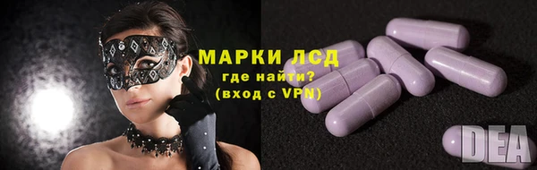 прущие грибы Аркадак