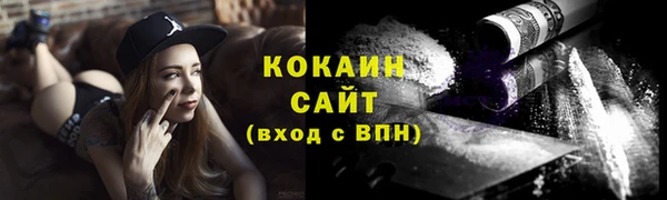 прущие грибы Аркадак
