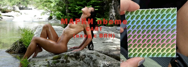прущие грибы Аркадак