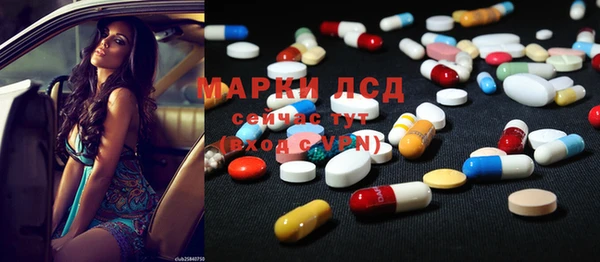 прущие грибы Аркадак