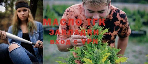 прущие грибы Аркадак
